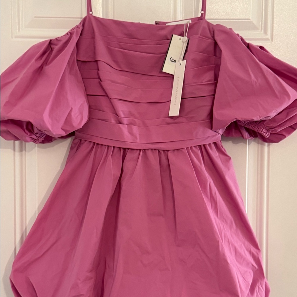 Jonathan Simkhai Sanam Cotton Poplin Puff Sleeve Mini Dress